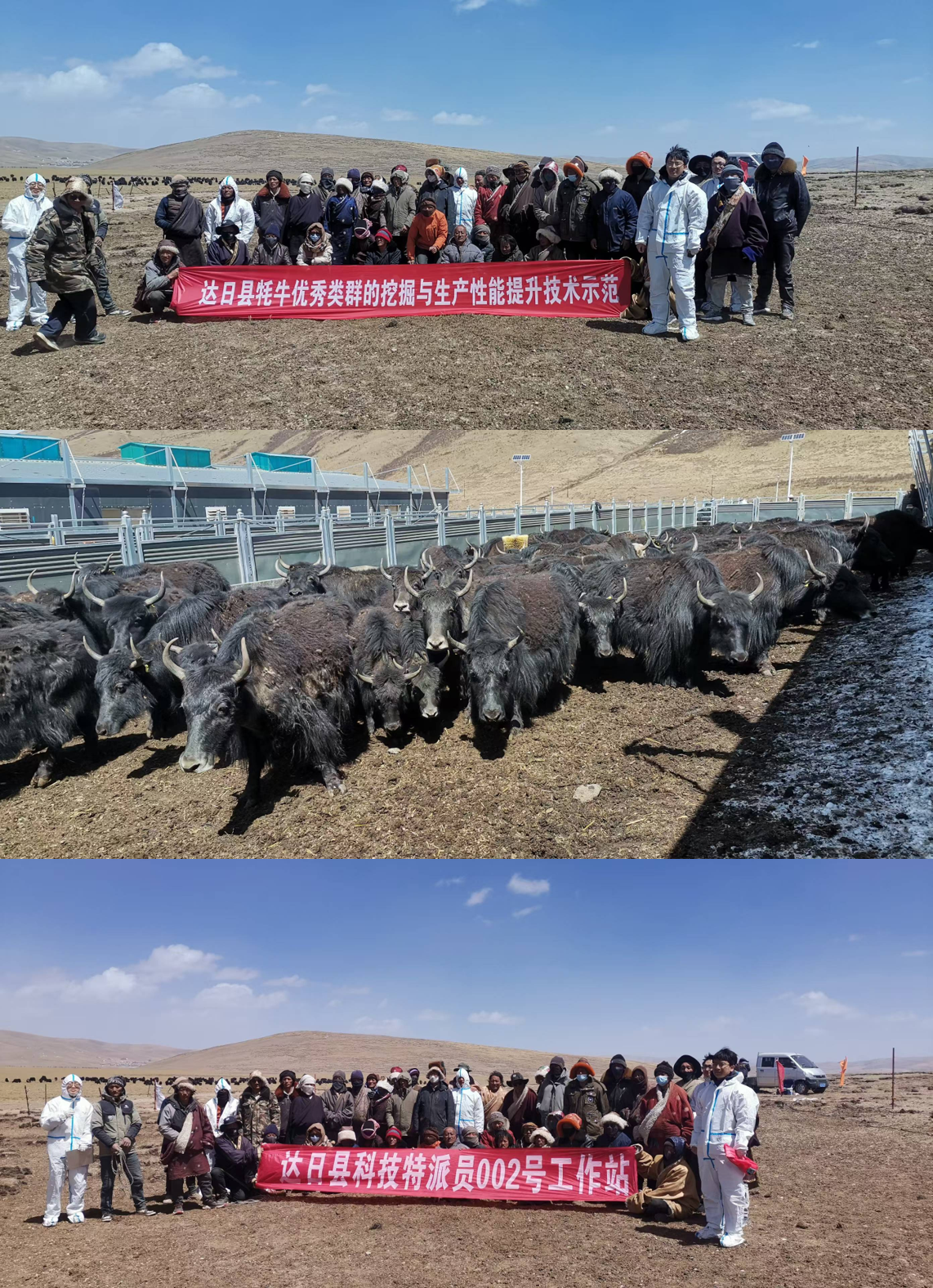 图片6.png